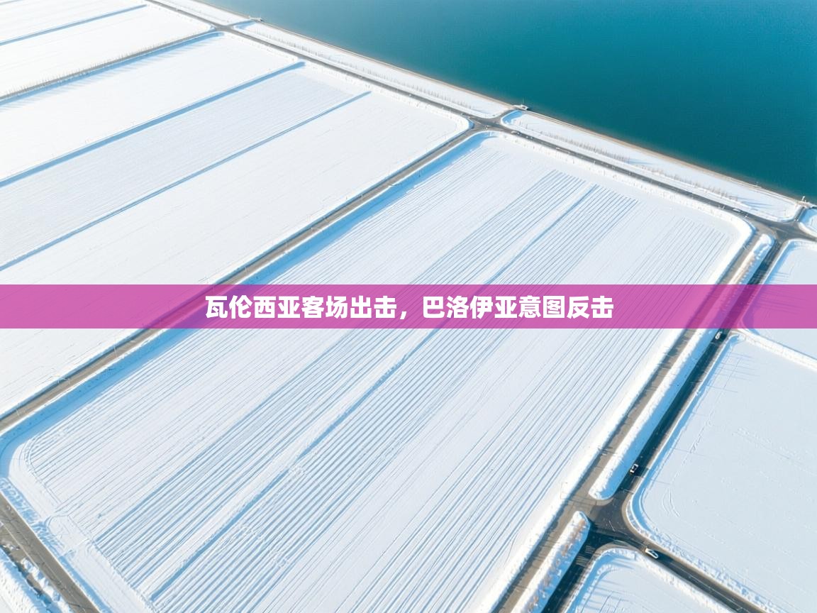 瓦伦西亚客场出击，巴洛伊亚意图反击  第2张